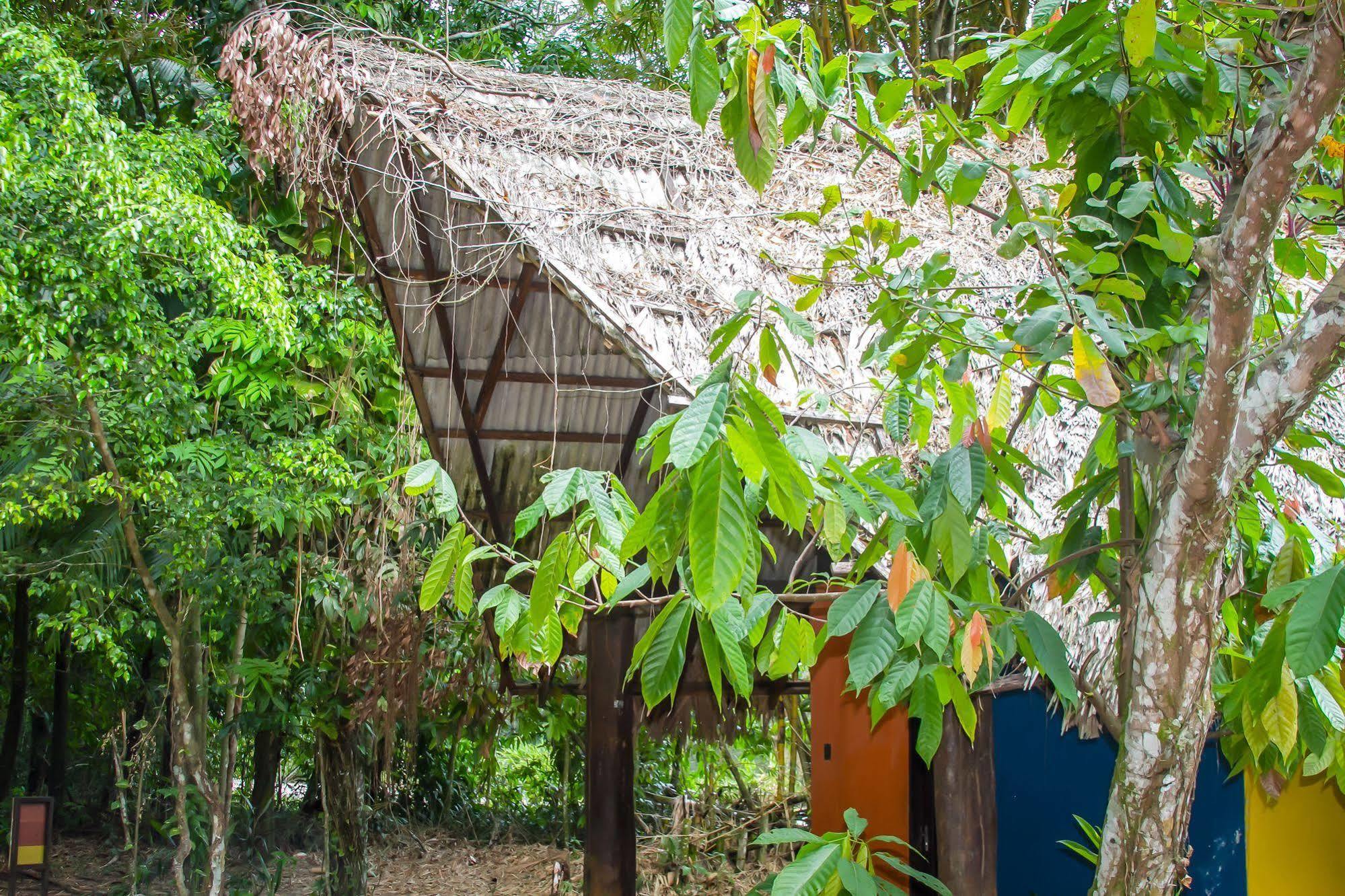 벨렘 Parque Dos Igarapes 빌라 외부 사진